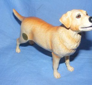 Labradoryellowjbd100a.jpg